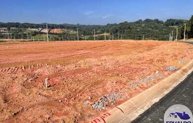 Imagem 11: Lote/Terreno para venda tem 250 metros quadrados em Brotas Caucaia do...