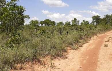 Imagem 2: Fazenda em Novo Acordo. 25 mil por alqueire