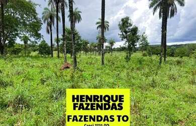Imagem 6: Fazenda no Luzimangues poucos minutos de Palmas 51 alqueires