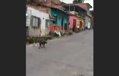 Imagem: A casa possui 1 Dormitório, 1 Banheiro, 1 Vaga na garagem e