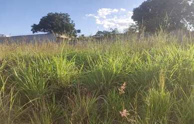 Imagem: O terreno está localizado em Jardim Buriti Sereno, Aparecida
