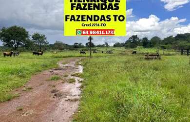 Imagem 9: Fazenda no Luzimangues poucos minutos de Palmas 51 alqueires