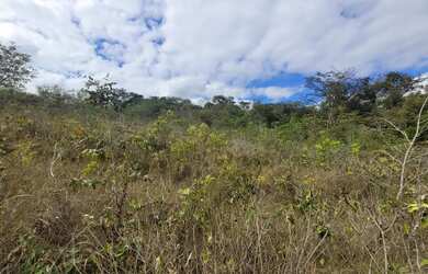Imagem 10: Terreno de 13,7 hectares a 500 m de estrada de terra