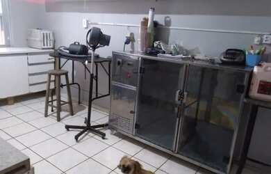 Imagem 2: Pet shop montado a venda. Imóvel novo, 200m² de Áreae5 Vagas na garagem