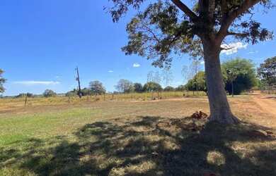 Imagem 14: FAZENDA À VENDA - 217 ALQUEIRES MUNDO NOVO - Goias