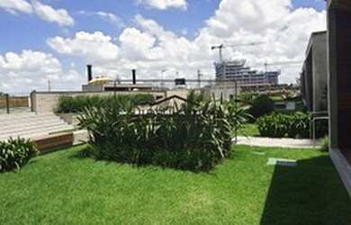 Imagem 15: PELOTAS - Padrão - Areal