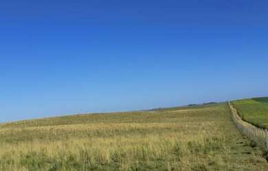 Imagem 5: Rosário do Sul - Fazenda - Zona Rural