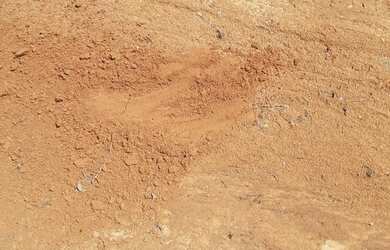 Imagem 3: Fazenda em Novo Acordo. 25 mil por alqueire