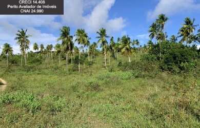 Imagem 16: Fazenda à Venda no Litoral Norte da Bahia. Fazenda de Pasto e Coco no...