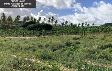 Imagem 9: Fazenda à Venda no Litoral Norte da Bahia. Fazenda de Pasto e Coco no...