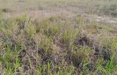 Imagem 8: Vendo Terreno 100% Plano, Alto na Fazenda Real Residence, 4° Etapa (SM