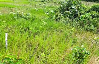 Imagem: O terreno possui 525m² de Área e está localizado em Ponta