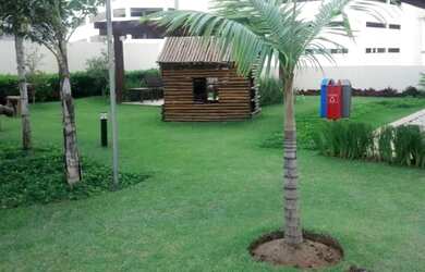 Imagem 7: Lindo 2/4 Caminho das Arvores ao lado Salvador Shopping