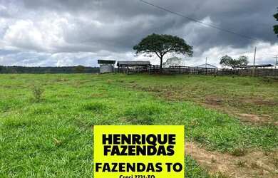 Imagem 12: Fazenda no Luzimangues poucos minutos de Palmas 51 alqueires