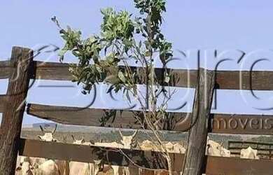 Imagem 6: Fazenda à Venda,613 alqueires Por R$ 92 MILHÕES - Tacuru/ms