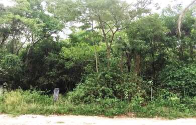 Imagem: O terreno possui 11075m² de Área e está localizado em Várzea