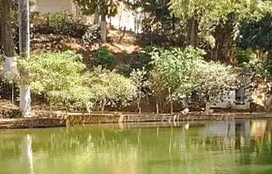 Imagem: A chácara está localizado em Jardim Santana, Anápolis para