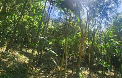 Imagem: O terreno possui 14.175m² de Área e está localizado em Juquitiba