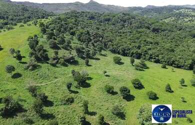 Imagem 4: Fazenda à Venda em Sanclerlândia - GO 39 Alqueires 100 Cultura