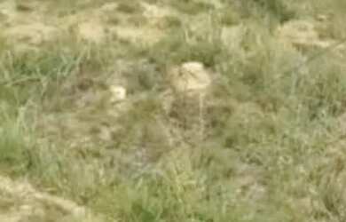 Imagem 4: Jardim Luana Terreno. 160m² de Área