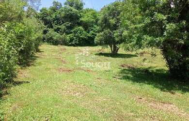 Imagem 5: Chácara para Venda em Almirante Tamandaré, Pacotuba