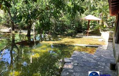 Imagem 9: Fazenda à Venda em Sanclerlândia - GO 39 Alqueires 100 Cultura