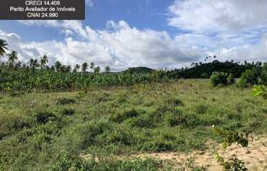 Imagem 11: Fazenda à Venda no Litoral Norte da Bahia. Fazenda de Pasto e Coco no...