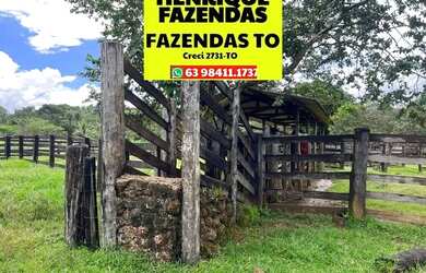 Imagem 10: Fazenda no Luzimangues poucos minutos de Palmas 51 alqueires