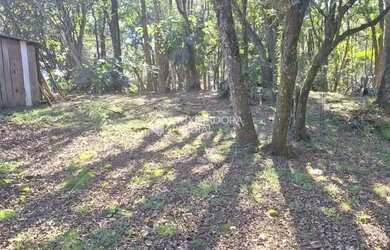 Imagem 6: Terreno em São Virgílio, Caxias do Sul