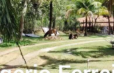 Imagem 5: Venda Luxuosa Chácara - Retiro do Congo br