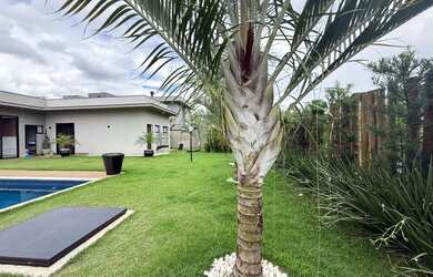 Imagem 6: Casa com 4 quartos, 373 m² - venda por R$ 3.500.000 ou aluguel por R$ 15.900/mês - Estânci