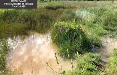 Imagem 8: Fazenda à Venda no Litoral Norte da Bahia. Fazenda de Pasto e Coco no...