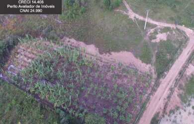 Imagem 5: Fazenda à Venda no Litoral Norte da Bahia. Fazenda de Pasto e Coco no...