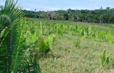 Imagem: O terreno possui 389m² de Área e está localizado em Jardim