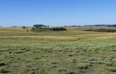 Imagem 14: Rosário do Sul - Fazenda - Zona Rural