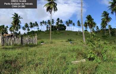 Imagem 15: Fazenda à Venda no Litoral Norte da Bahia. Fazenda de Pasto e Coco no...