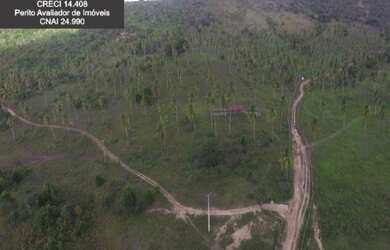 Imagem 6: Fazenda à Venda no Litoral Norte da Bahia. Fazenda de Pasto e Coco no...