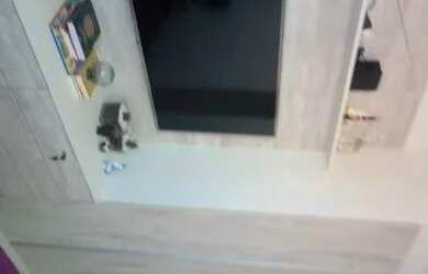 Imagem 5: EXCELENTE APARTAMENTO COM 3 DORM NA REGIÃO TATUAPÉ