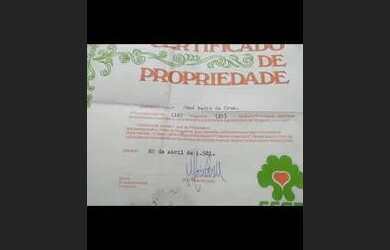 Imagem 4: Lotes. 360m² de Área