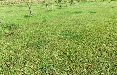 Imagem: O terreno está localizado em Jardim Brasil, Atibaia à venda
