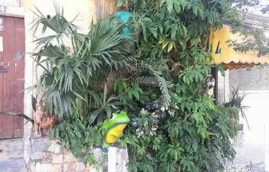 Imagem: A casa para alugar possui 1 Dormitório, 1 Banheiro e 41m²