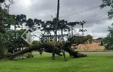 Imagem 8: Terreno em Condomínio Altos Pinheiros - Canela