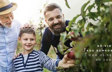 Imagem 7: Lote de 428 metros quadrados no Jardins Amsterdã - Goiânia - GO