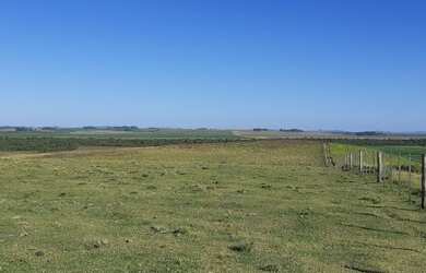 Imagem 15: Rosário do Sul - Fazenda - Zona Rural