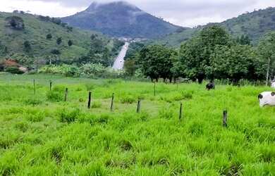 Imagem: A fazenda possui 140.000m² de Área e está localizado em