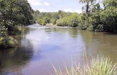 Imagem 12: Fazenda em Novo Acordo. 25 mil por alqueire