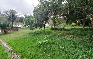 Imagem: A chácara possui 2.000m² de Área e está localizado em Flores