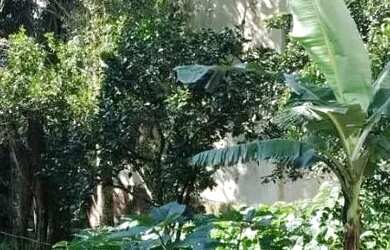 Imagem 3: Terreno para Venda em Nova Petrópolis, Juriti