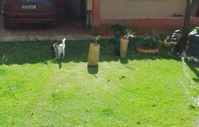 Imagem 12: Vende-se esse sítio. 4.100m² de Área