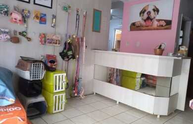 Imagem 4: Pet shop montado a venda. Imóvel novo, 200m² de Áreae5 Vagas na garagem